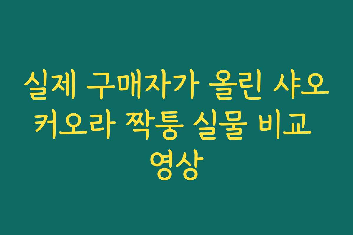실제 구매자가 올린 샤오커오라 짝퉁 실물 비교 영상