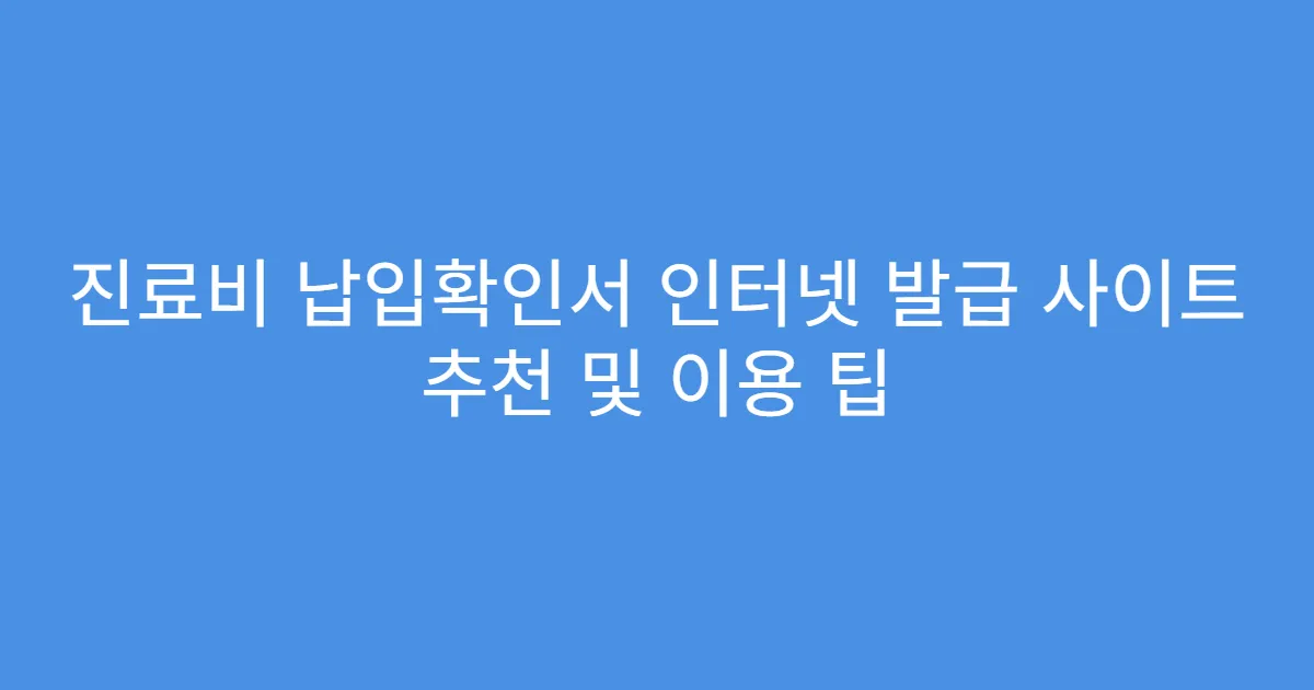 진료비 납입확인서 인터넷 발급 사이트 추천 및 이용 팁