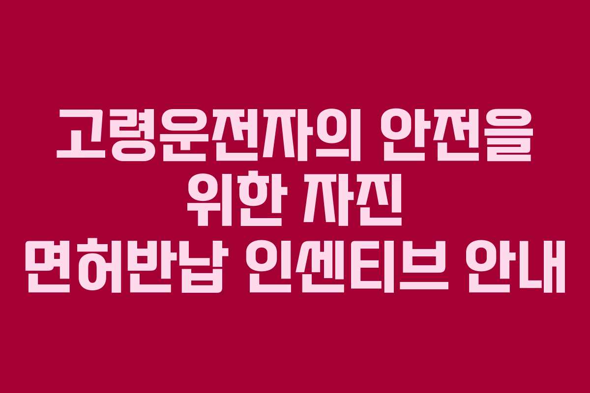 고령운전자의 안전을 위한 자진 면허반납 인센티브 안내