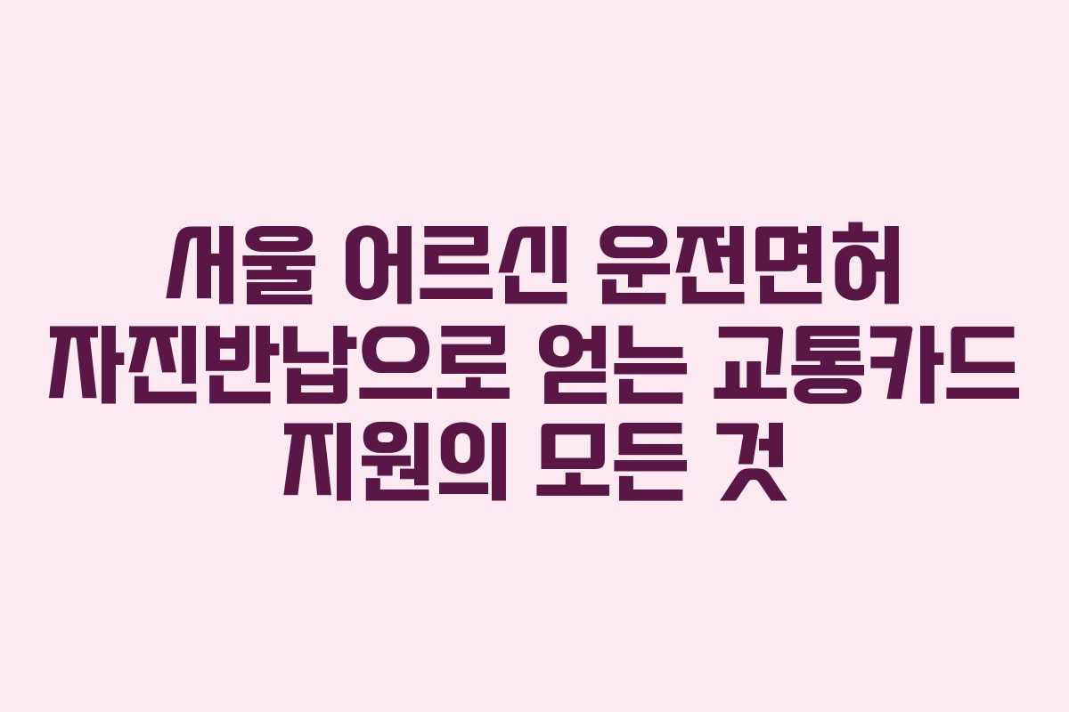 서울 어르신 운전면허 자진반납으로 얻는 교통카드 지원의 모든 것