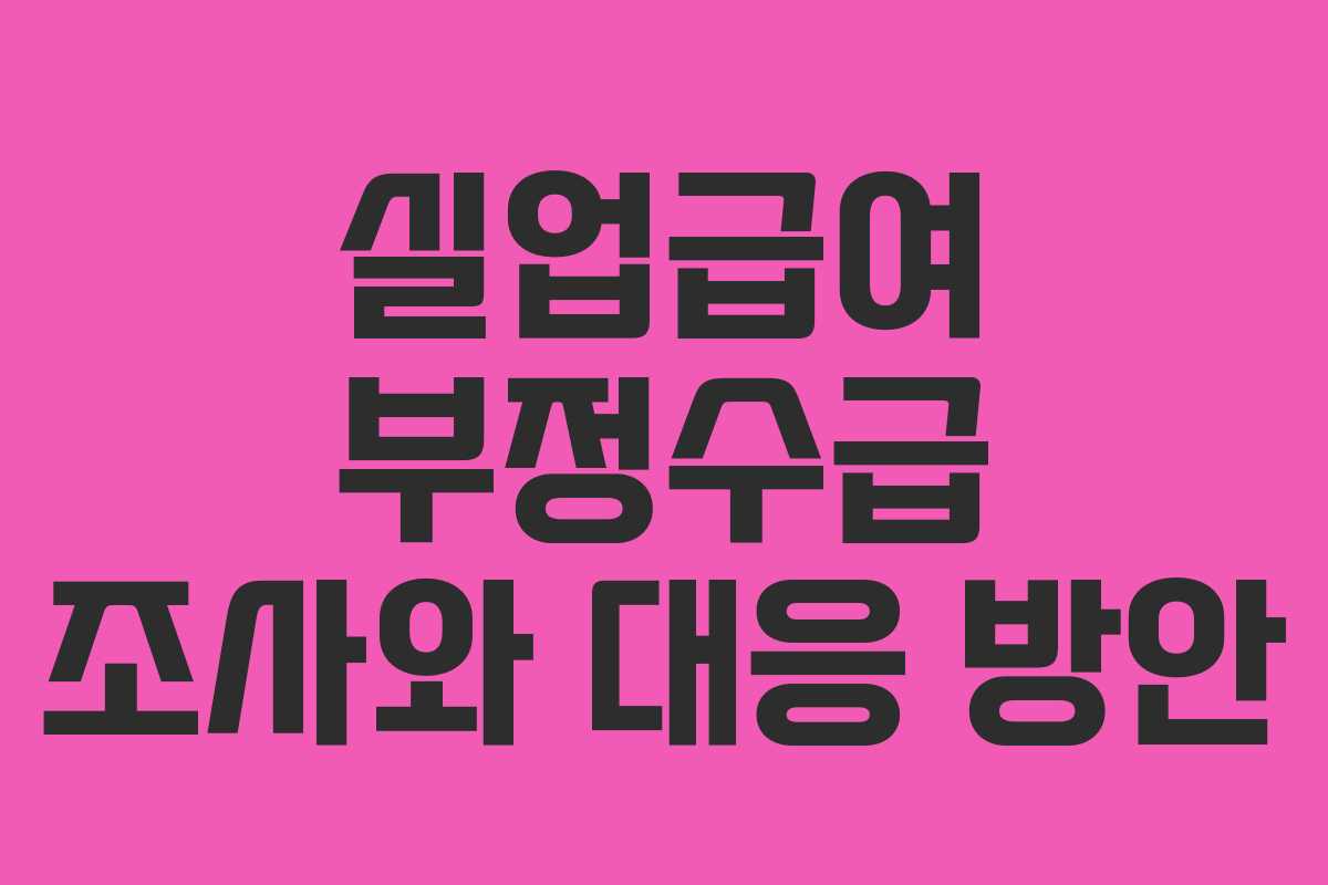 실업급여 부정수급 조사와 대응 방안