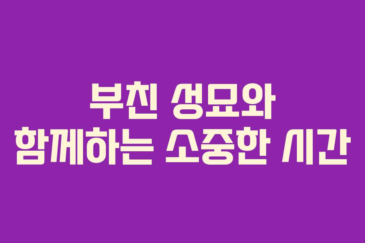 부친 성묘와 함께하는 소중한 시간