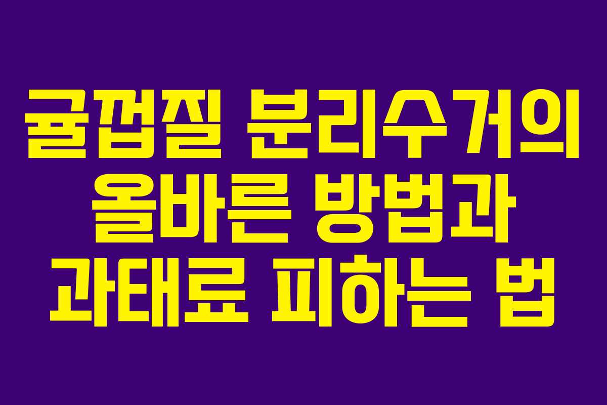 귤껍질 분리수거의 올바른 방법과 과태료 피하는 법