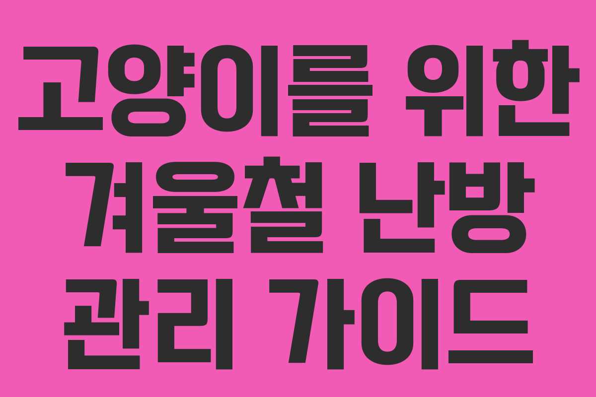 고양이를 위한 겨울철 난방 관리 가이드