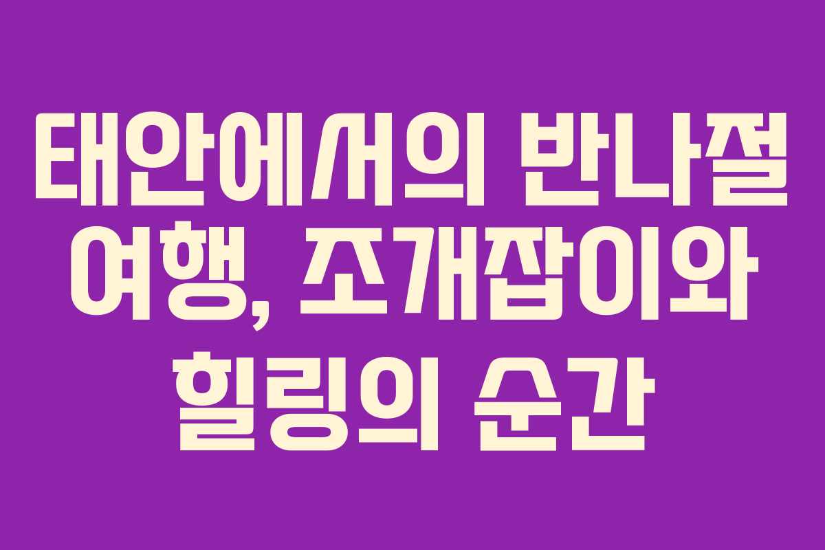 태안에서의 반나절 여행, 조개잡이와 힐링의 순간