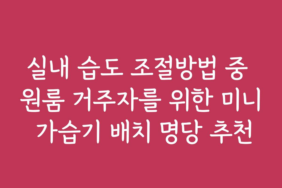 실내 습도 조절방법 중 원룸 거주자를 위한 미니 가습기 배치 명당 추천