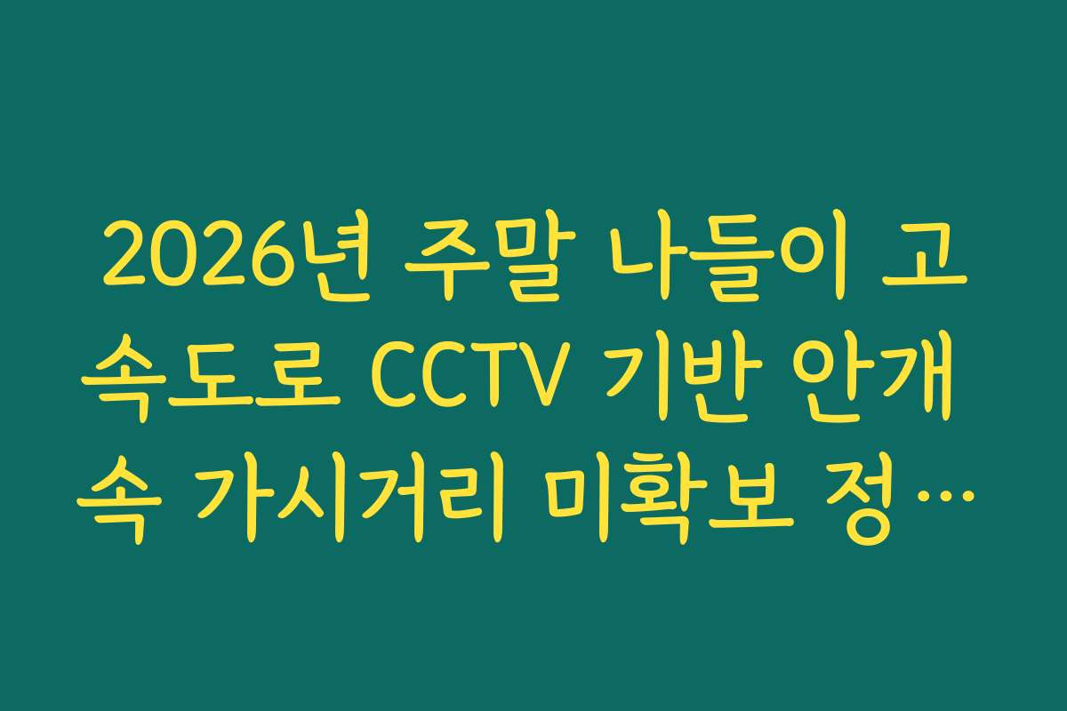 2026년 주말 나들이 고속도로 CCTV 기반 안개 속 가시거리 미확보 정체 분석
