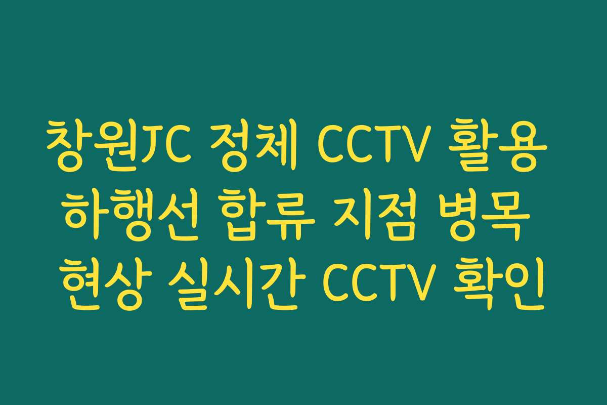 창원JC 정체 CCTV 활용 하행선 합류 지점 병목 현상 실시간 CCTV 확인