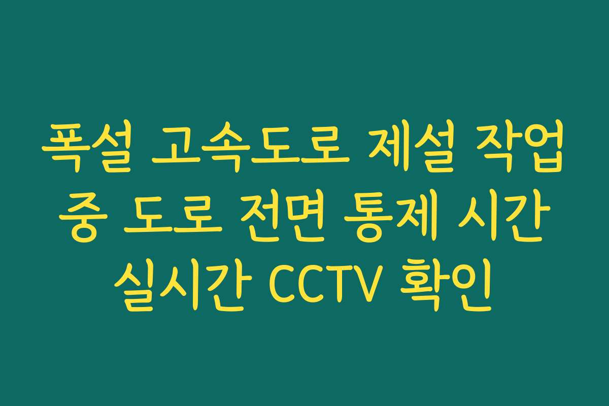 폭설 고속도로 제설 작업 중 도로 전면 통제 시간 실시간 CCTV 확인