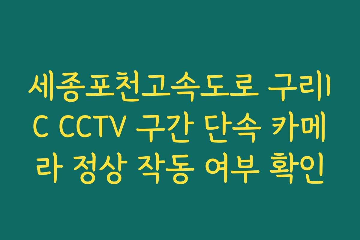 세종포천고속도로 구리IC CCTV 구간 단속 카메라 정상 작동 여부 확인