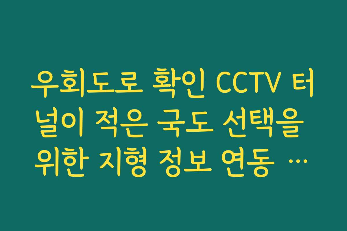 우회도로 확인 CCTV 터널이 적은 국도 선택을 위한 지형 정보 연동 가이드