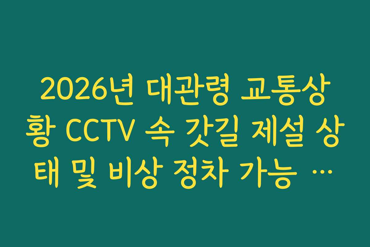 2026년 대관령 교통상황 CCTV 속 갓길 제설 상태 및 비상 정차 가능 여부