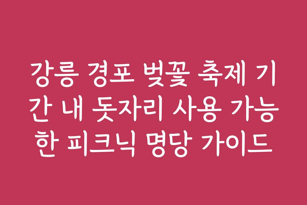 강릉 경포 벚꽃 축제 기간 내 돗자리 사용 가능한 피크닉 명당 가이드