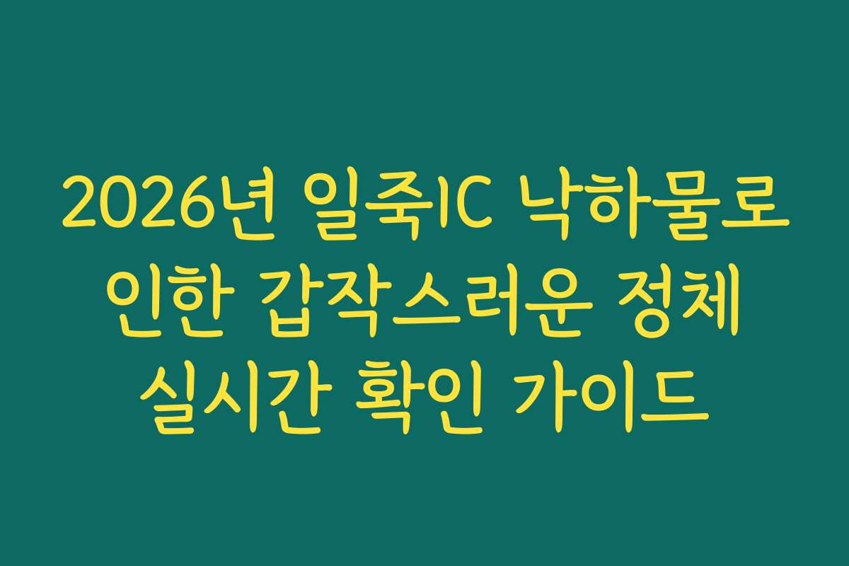 2026년 일죽IC 낙하물로 인한 갑작스러운 정체 실시간 확인 가이드