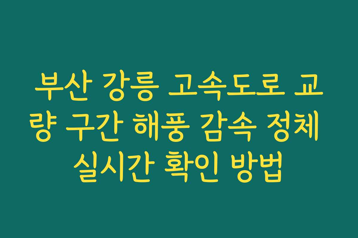 부산 강릉 고속도로 교량 구간 해풍 감속 정체 실시간 확인 방법