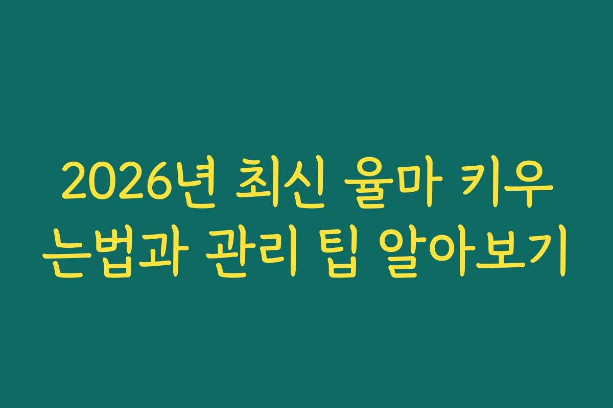 2026년 최신 율마 키우는법과 관리 팁 알아보기