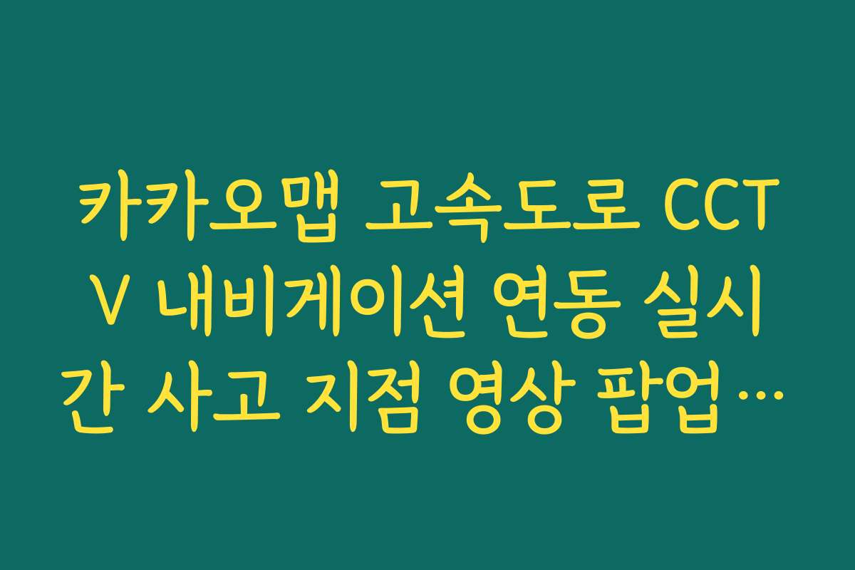 카카오맵 고속도로 CCTV 내비게이션 연동 실시간 사고 지점 영상 팝업 팁