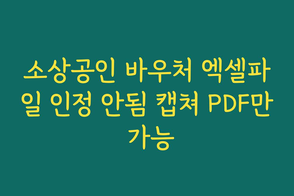 소상공인 바우처 엑셀파일 인정 안됨 캡쳐 PDF만 가능