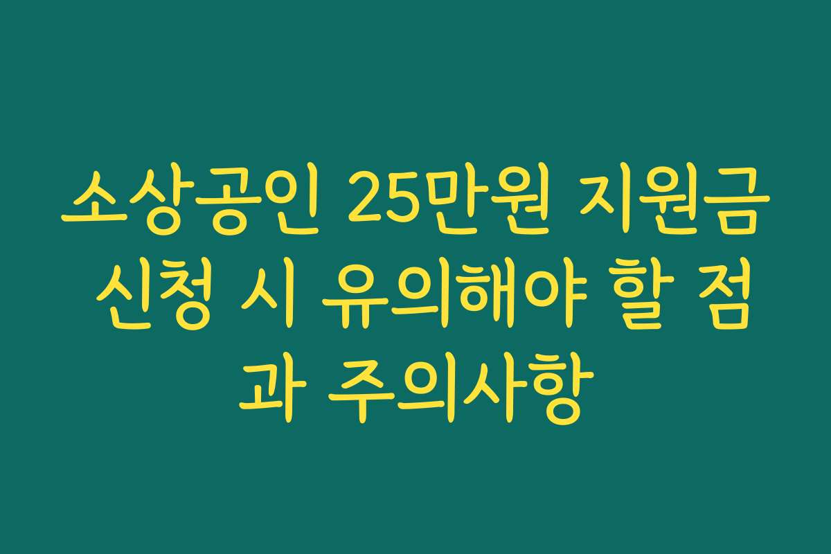 소상공인 25만원 지원금 신청 시 유의해야 할 점과 주의사항