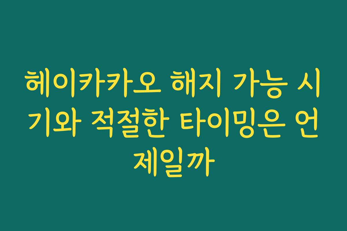 헤이카카오 해지 가능 시기와 적절한 타이밍은 언제일까