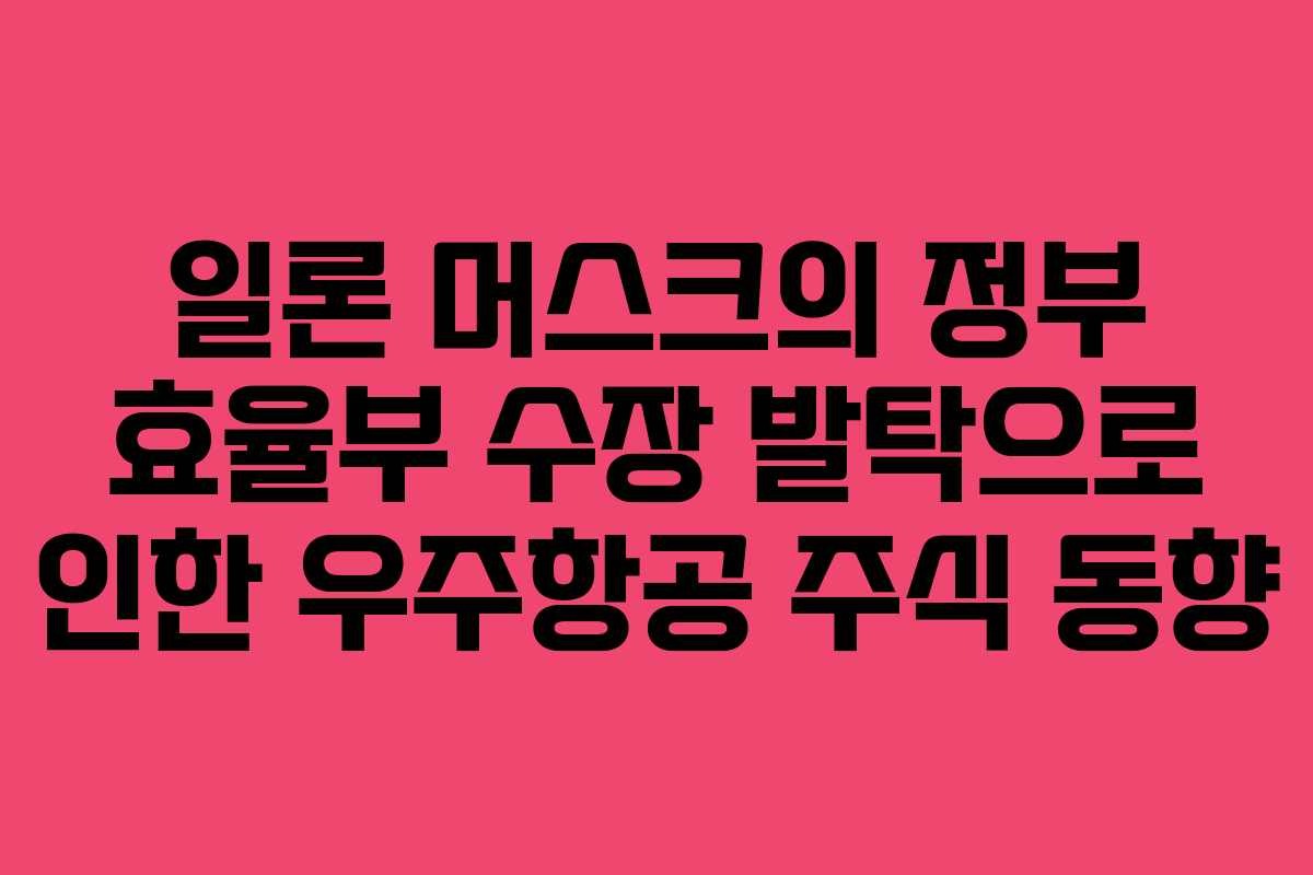 일론 머스크의 정부 효율부 수장 발탁으로 인한 우주항공 주식 동향