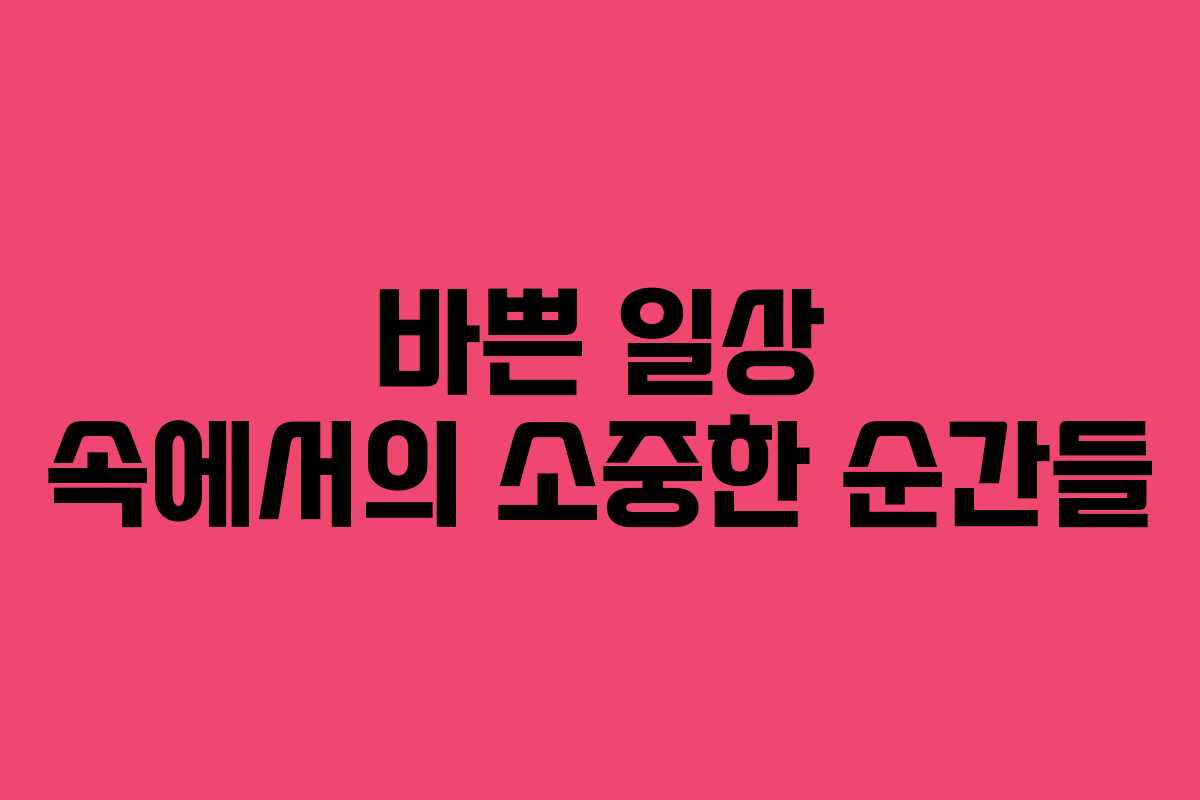 바쁜 일상 속에서의 소중한 순간들