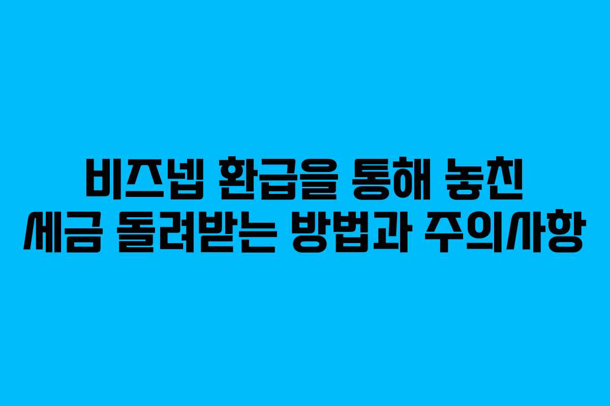 비즈넵 환급을 통해 놓친 세금 돌려받는 방법과 주의사항