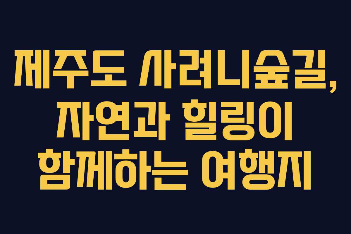 제주도 사려니숲길, 자연과 힐링이 함께하는 여행지