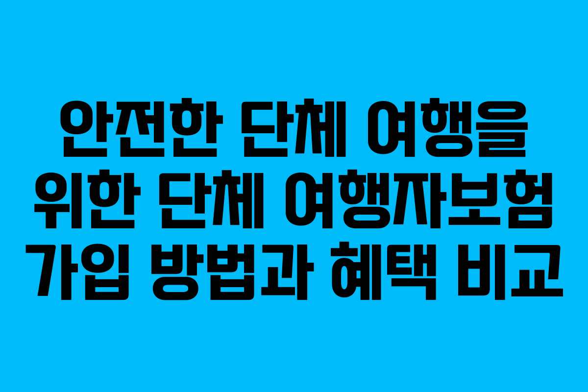 안전한 단체 여행을 위한 단체 여행자보험 가입 방법과 혜택 비교