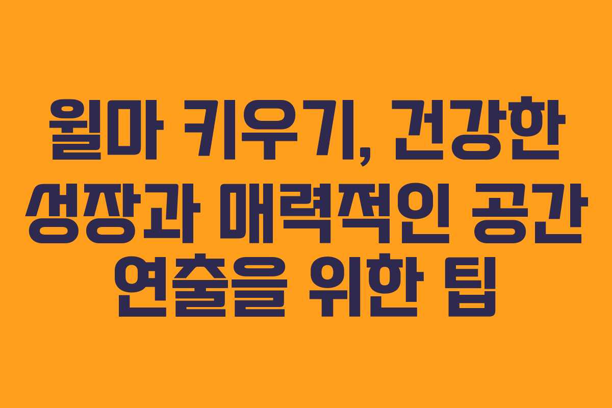 윌마 키우기, 건강한 성장과 매력적인 공간 연출을 위한 팁