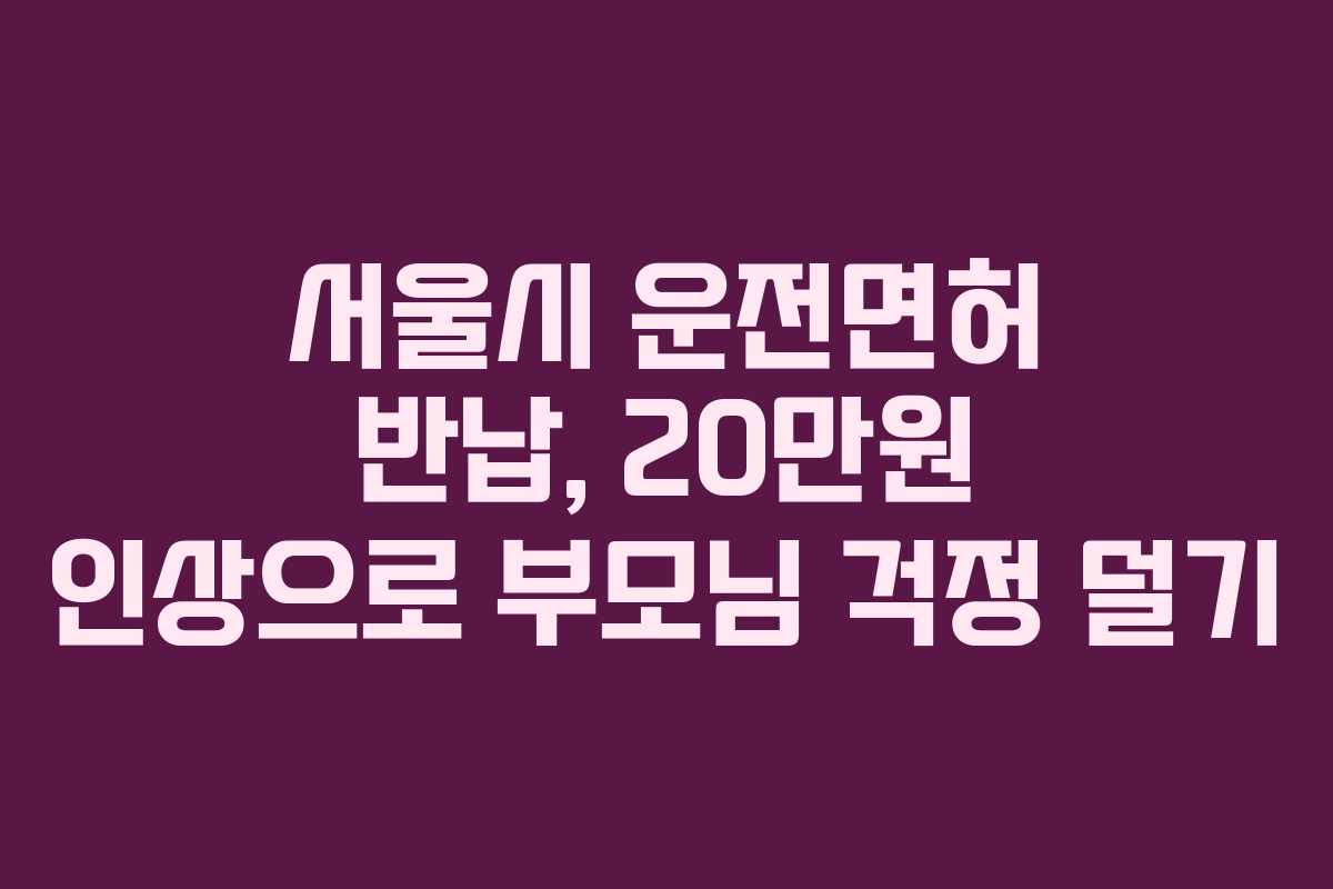 서울시 운전면허 반납, 20만원 인상으로 부모님 걱정 덜기