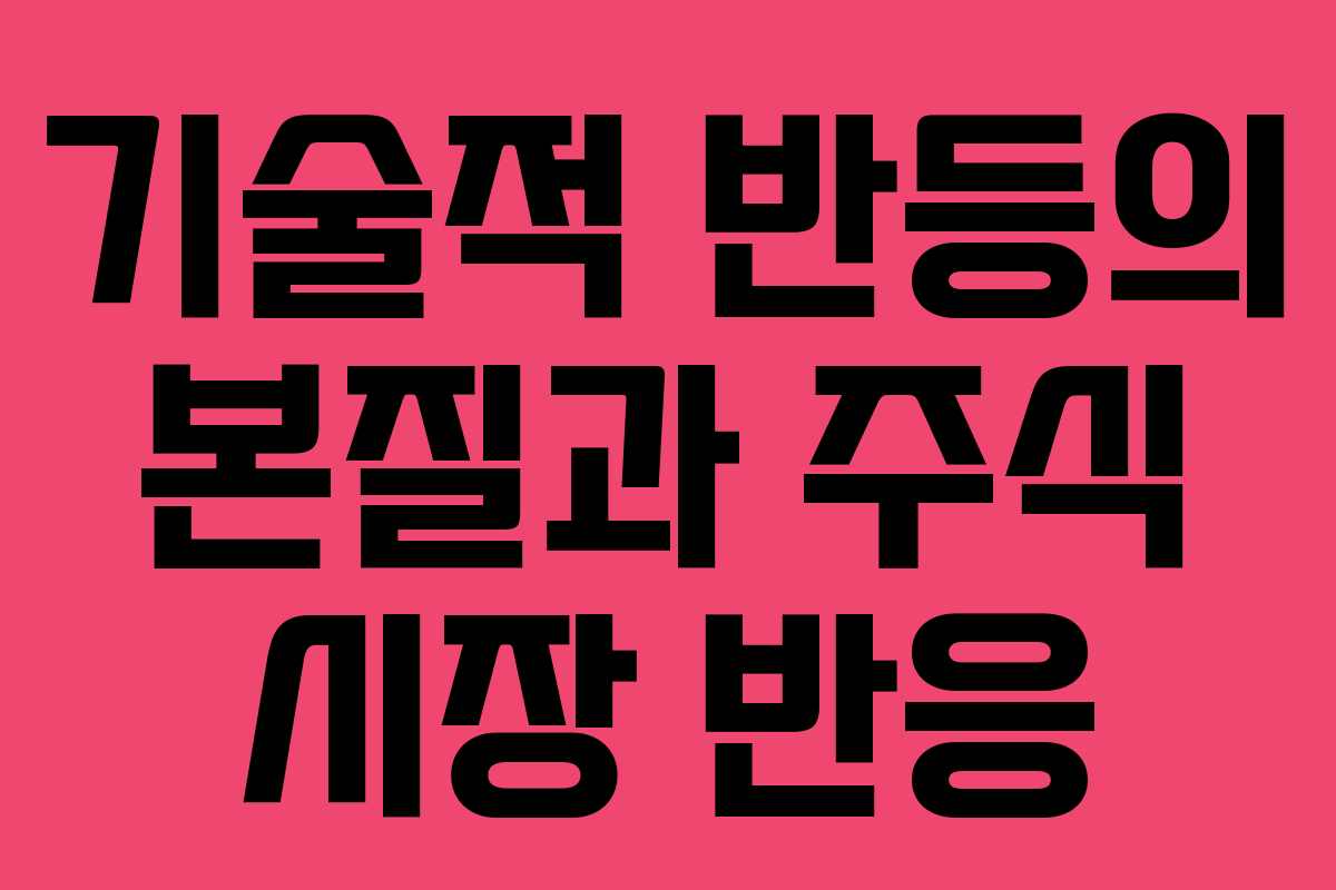 기술적 반등의 본질과 주식 시장 반응