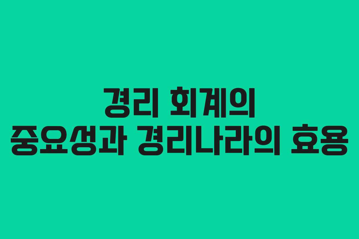 경리 회계의 중요성과 경리나라의 효용