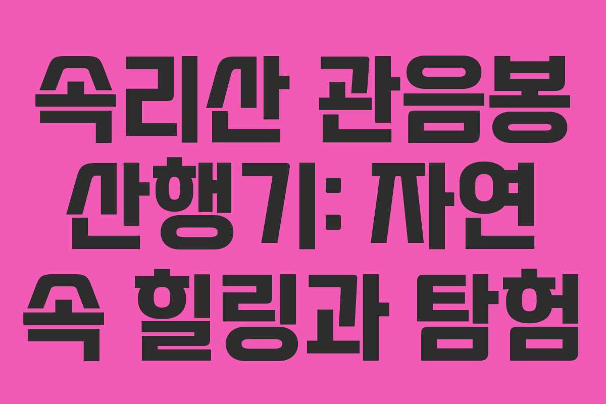 속리산 관음봉 산행기: 자연 속 힐링과 탐험