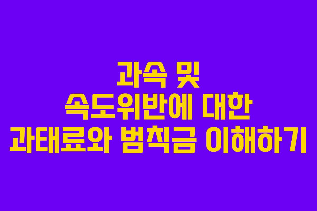 과속 및 속도위반에 대한 과태료와 범칙금 이해하기