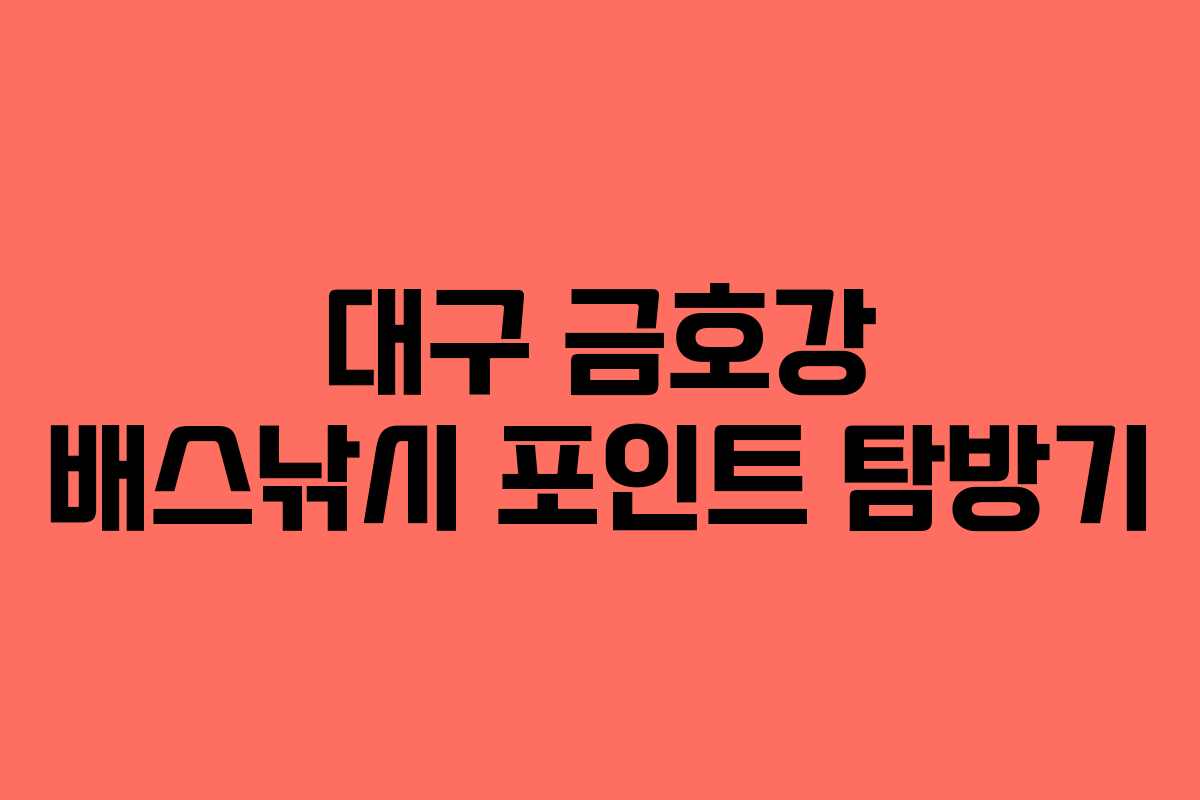 대구 금호강 배스낚시 포인트 탐방기