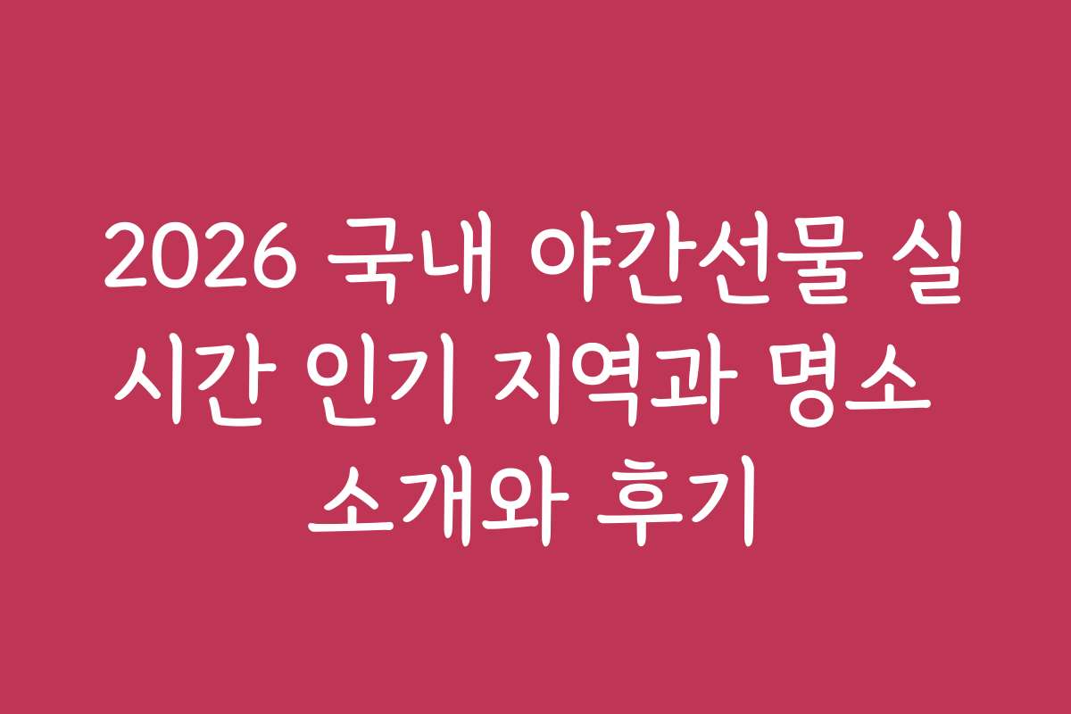 2026 국내 야간선물 실시간 인기 지역과 명소 소개와 후기
