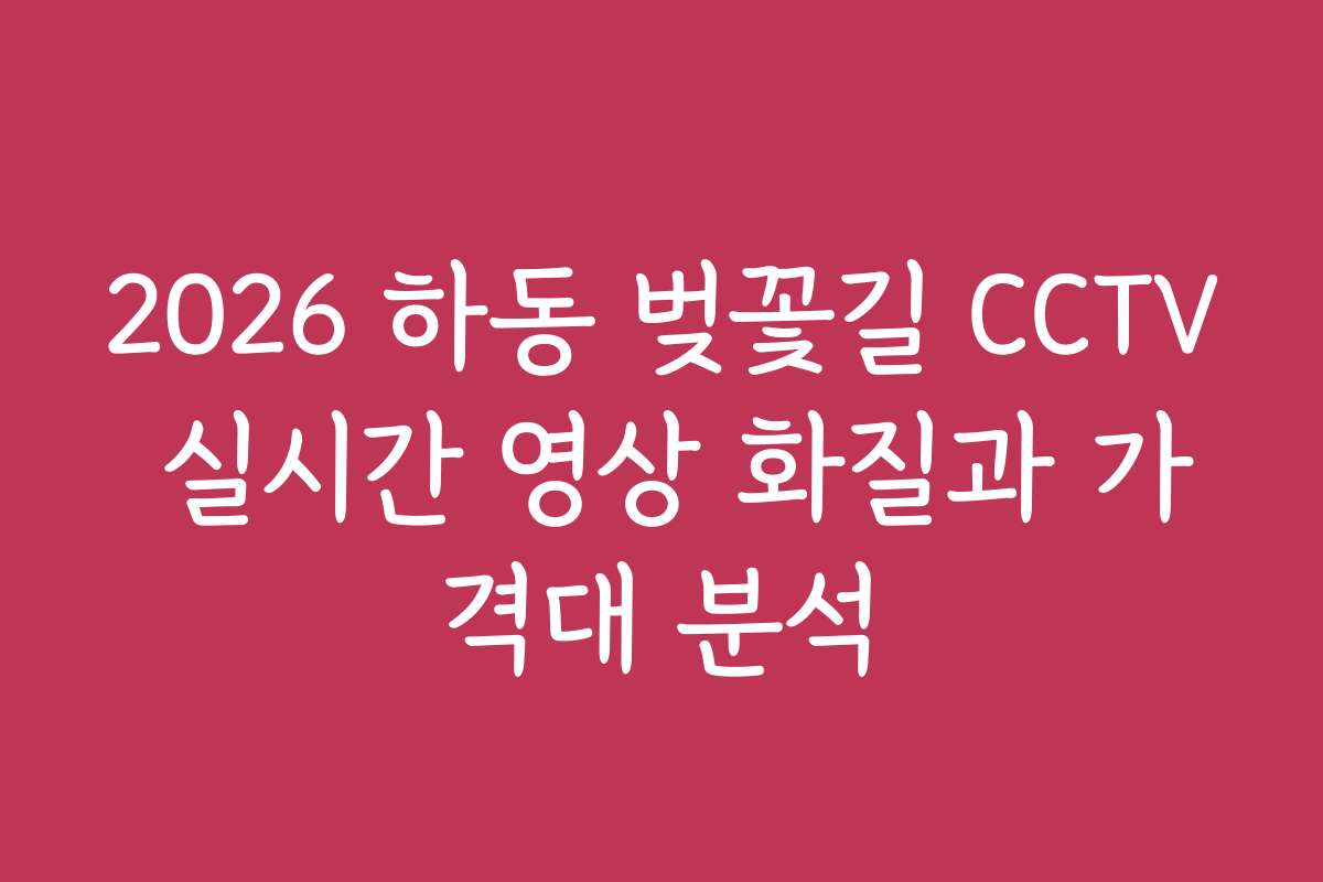 2026 하동 벚꽃길 CCTV 실시간 영상 화질과 가격대 분석