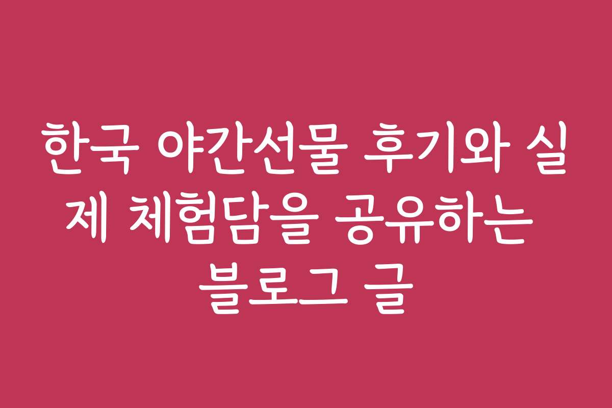 한국 야간선물 후기와 실제 체험담을 공유하는 블로그 글