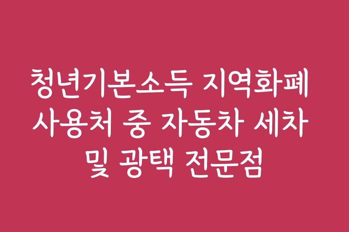 청년기본소득 지역화폐 사용처 중 자동차 세차 및 광택 전문점