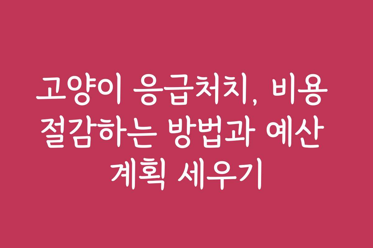 고양이 응급처치, 비용 절감하는 방법과 예산 계획 세우기