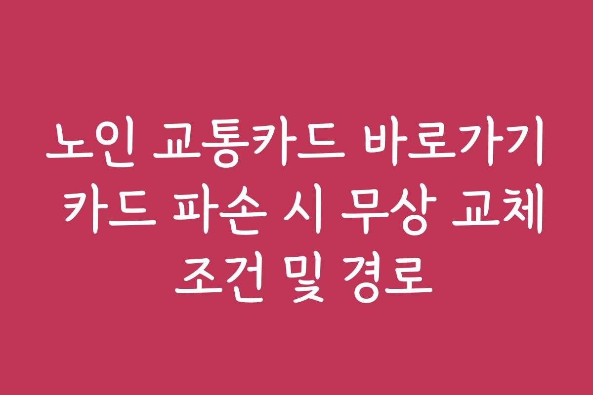 노인 교통카드 바로가기 카드 파손 시 무상 교체 조건 및 경로