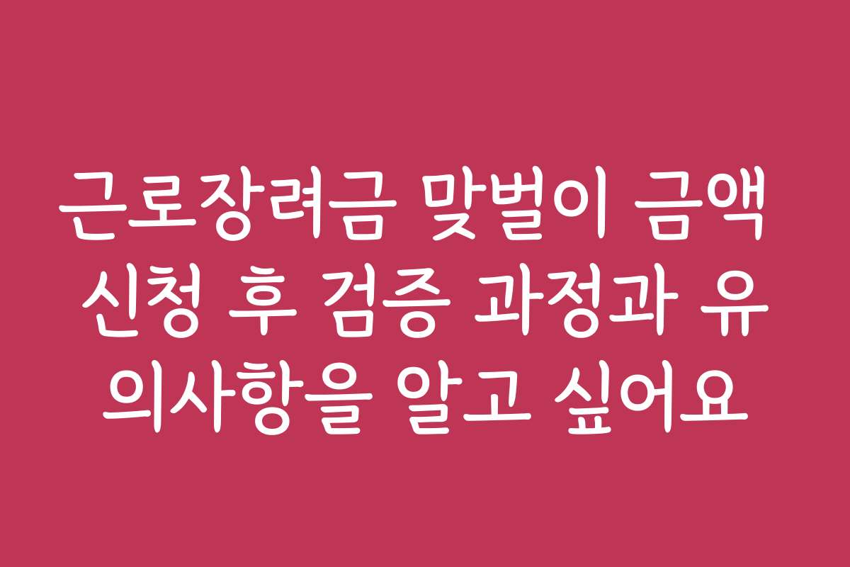 근로장려금 맞벌이 금액 신청 후 검증 과정과 유의사항을 알고 싶어요