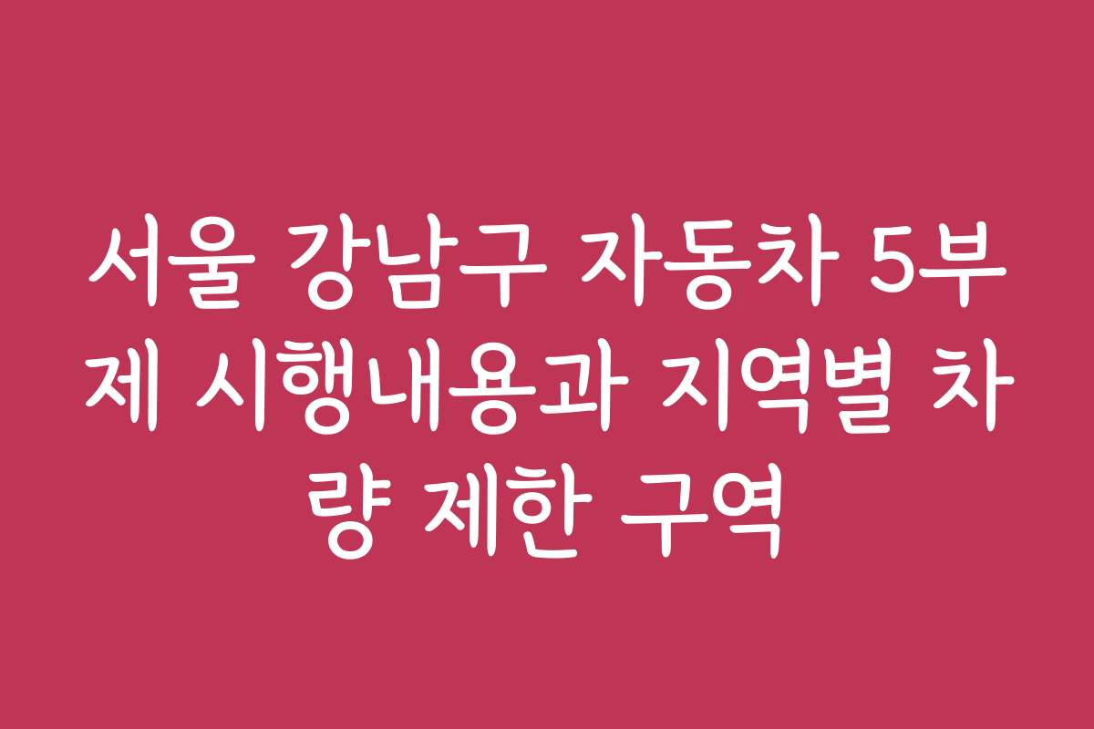 서울 강남구 자동차 5부제 시행내용과 지역별 차량 제한 구역