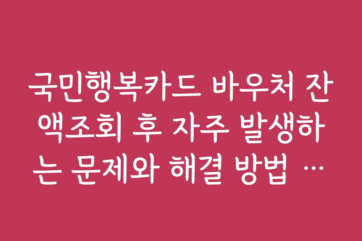 국민행복카드 바우처 잔액조회 후 자주 발생하는 문제와 해결 방법 안내