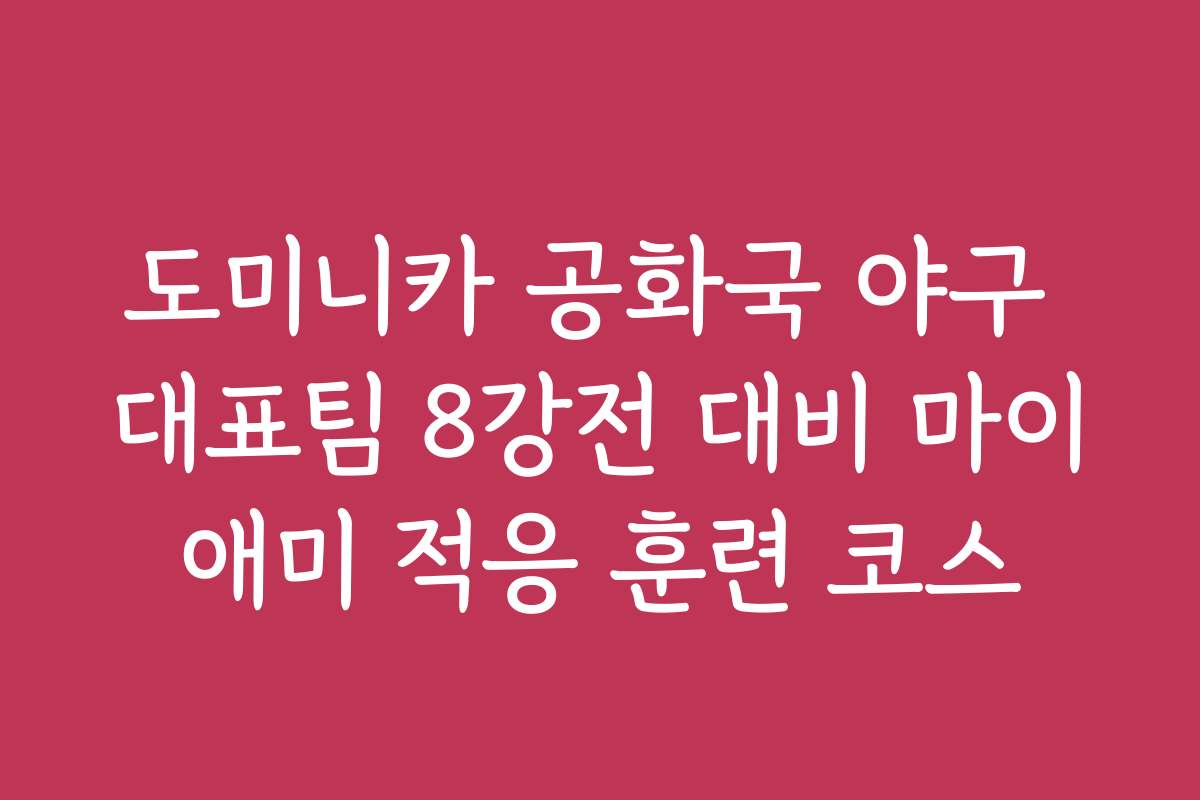 도미니카 공화국 야구 대표팀 8강전 대비 마이애미 적응 훈련 코스