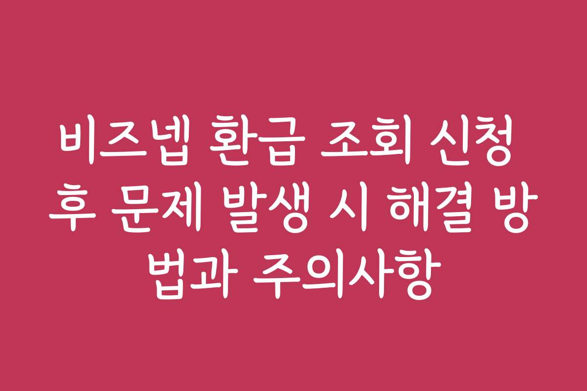 비즈넵 환급 조회 신청 후 문제 발생 시 해결 방법과 주의사항