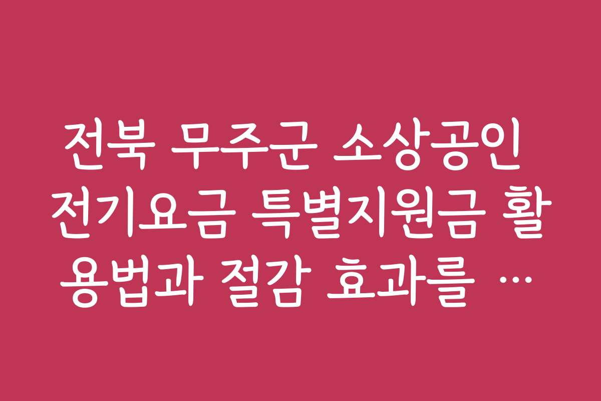 전북 무주군 소상공인 전기요금 특별지원금 활용법과 절감 효과를 극대화하는 노하우를 공개합니다