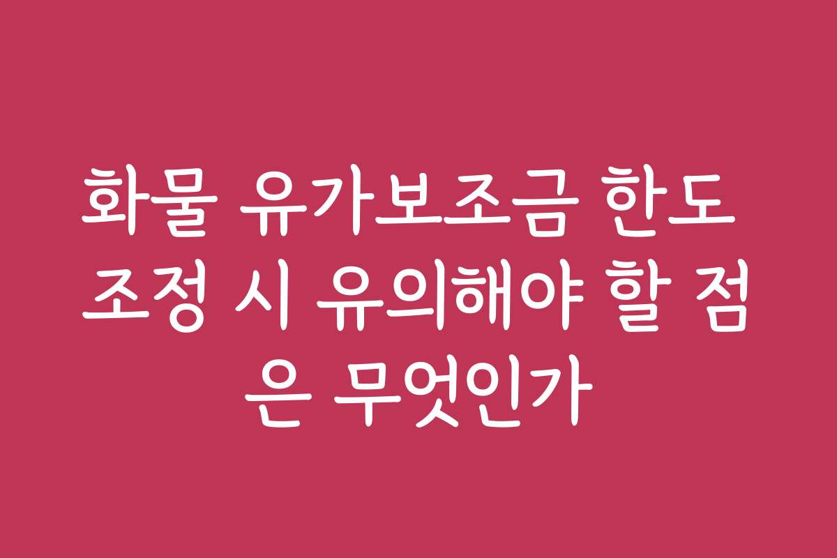 화물 유가보조금 한도 조정 시 유의해야 할 점은 무엇인가