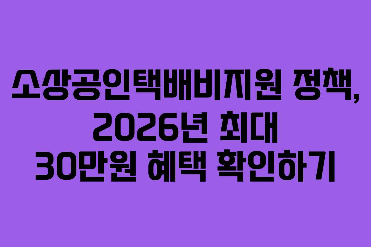소상공인택배비지원 정책, 2026년 최대 30만원 혜택 확인하기